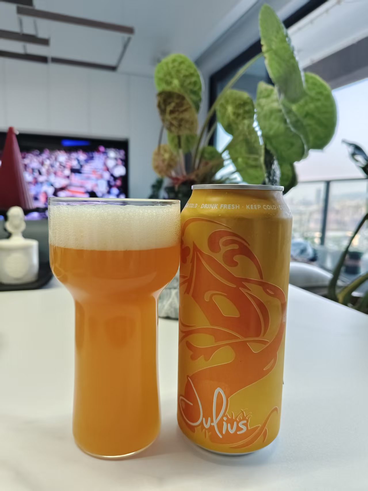 树屋 Julius